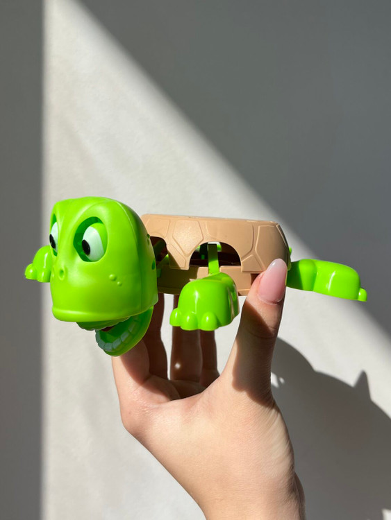 زیر لیوانی لاکپشت پنیک